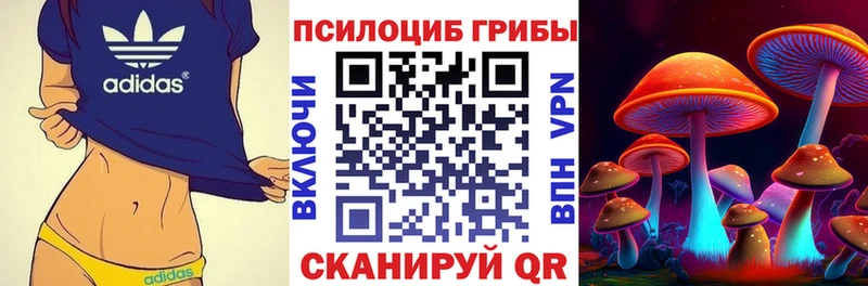 Купить закладки  Белово  Псилоцибиновые грибы мухоморы 